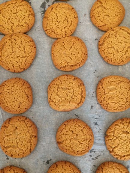 Ginger Biscuits