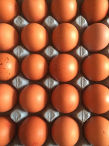 Eggs x 6